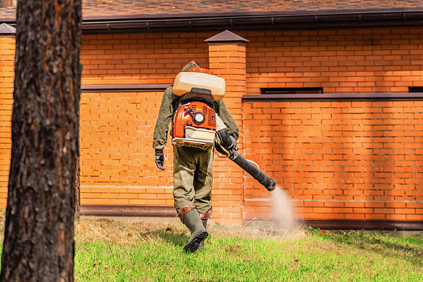 Trusted Termite Control service in Pacific, WA - Nex Pest Control